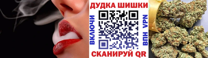 дарнет шоп  Геленджик  Бошки Шишки план 